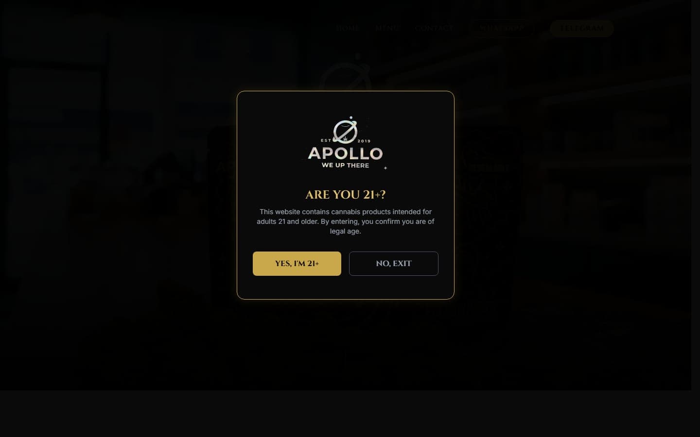 Apollo NYC